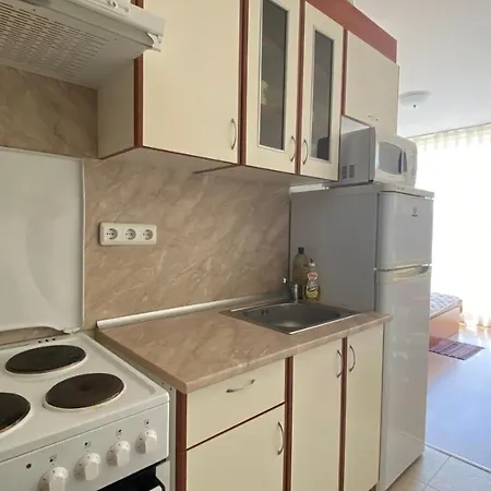 Orchid Garden 244 Studio Sunny Apartament Słoneczny Brzeg